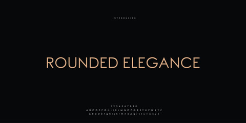 Elegant Font Uppercase Lowercase and Number. Classic Lettering Minimal Fashion Designs. Typography modern Sen Serif fonts regular decorative vintage concept. vector illustration © SyedMuhammad