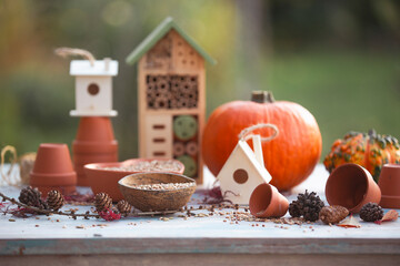 Birds food on the garden table