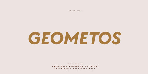 Elegant Font Uppercase Lowercase and Number. Classic Lettering Minimal Fashion Designs. Typography modern Sen Serif fonts regular decorative vintage concept. vector illustration © SyedMuhammad