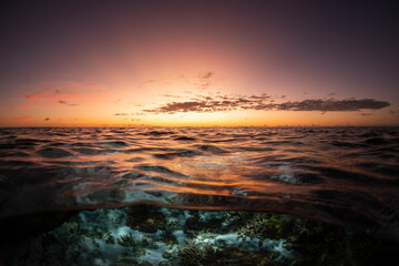 Sunrise in Paradise, Lady Elliot Island Australia
