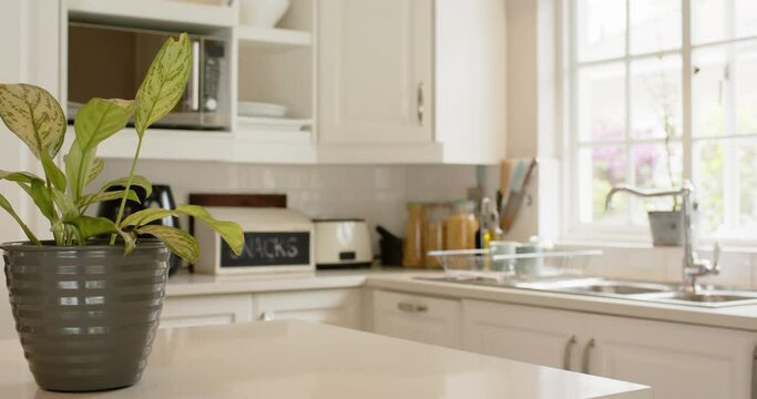 Kitchen island, house plant, sink, furnitures and big window in sunny kitchen, slow motion