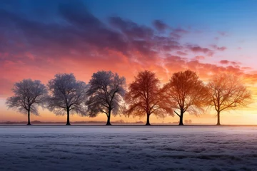 Foto op Plexiglas Diverse December sunrises/sunsets captured daily varying landscapes background with empty space for text  © fotogurmespb