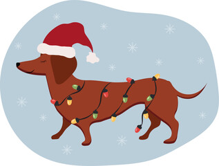 A dog with a garland, wearing a Santa hat. Dachshund. Vector.