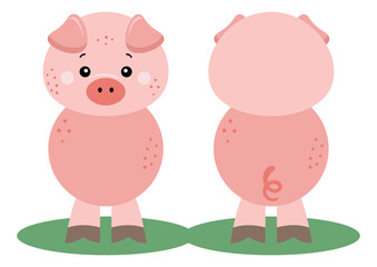 Cute pig on front and back position