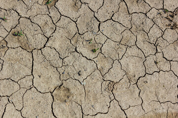 Wall texture soil dry crack pattern of drought lack of water of nature brown old broken background