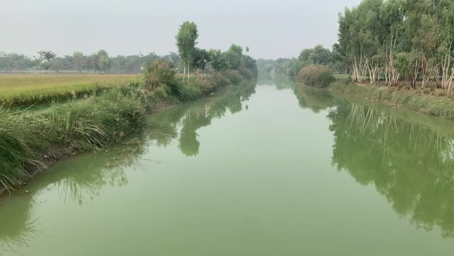 Beautiful Canal Wiew royalty. natural beauti of village canal. Layyah pakistan. Natural scenery canal water. 