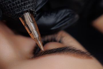 Detail of beautiful woman with black brows in beauty salon. Procedure Permanent makeup tattoo for...
