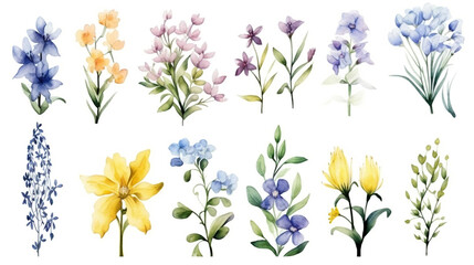 Set of watercolor spring flowers elements