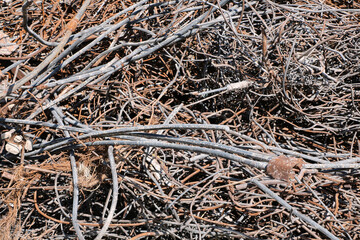 Pile of scrap metal from rebar and other steel waste