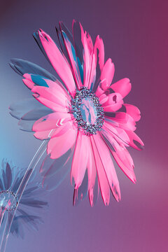 3D render of pink glass flower