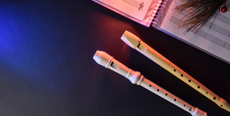 Wind musical event concept with two traditional plastic recorders © Davizro Photography