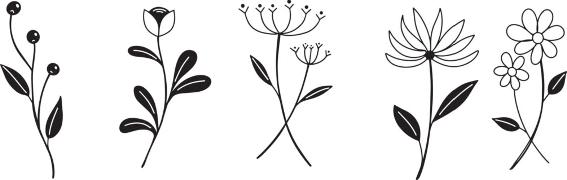 set of petal and flowers stem hand drawn vector