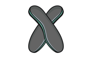 Comfortable Orthotics Shoe Insole Front View vector illustration. Fashion object icon concept. Insoles for a comfortable and healthy walk vector design.