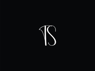 Obraz premium TS letter logo design and initial logo