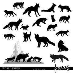 Set of fox animal silhouettes. Vector illustration.