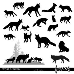 Set of fox animal silhouettes. Vector illustration.