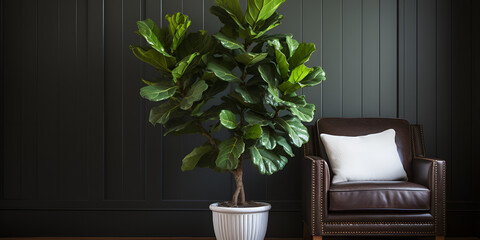 Sleek Interior Design: Black Sofa and Potted Plants. Modern Home Decor: Indoor Nature with Stylish Vase