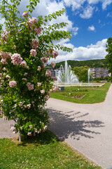 Kurpark und Rosengarten im Staatsbad Bad Kissingen, Unterfranken, Franken, Bayern, Deutschland