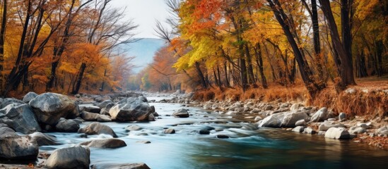 Autumn trees with mountain river and waterfall in the backdrop