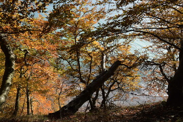 Wanderung im Jasmund Nationalpark auf Rügen