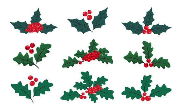 Set of Christmas holly with green leaves, red berries. Happy New Year holly berry icon, floral elements for winter holidays, Christmas symbol. Hand drawn vector illustration on white background