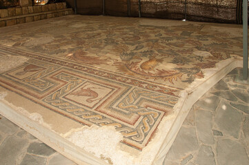 Naklejka premium Jordan. Mount Nebo. Ancient mosaics on floor, created in 6th century. Close-up. Fragment of mosaic with plants, birds and animals. Madaba, Jordan, December 3, 2009