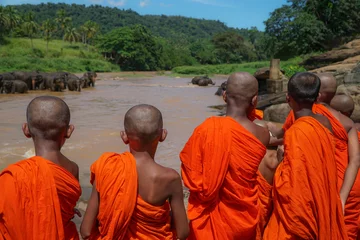 Foto op Aluminium young novice monks watching elephants bathing in the river. © berna_namoglu