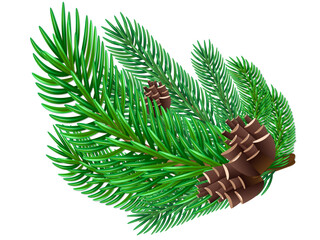 Christmas tree. Pine. Spruce cone. New year 2024. Christmas icons