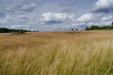 Fototapeta premium Landschaft am Feuerberg im NSG Schwarze Berge im Biosphärenreservat Rhön bei der Kissinger Hütte, Wildflecken, Unterfranken, Franken, Bayern, Deutschland.