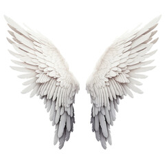 Realistic angel wings isolated on transparent background, png