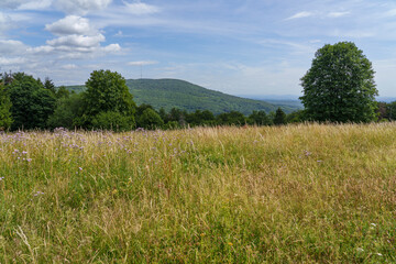 Landschaft der Schwarzenbergwiesen im NSG Schwarze Berge im Biosphärenreservat Rhön bei der Kissinger Hütte, Wildflecken, Unterfranken, Franken, Bayern, Deutschland