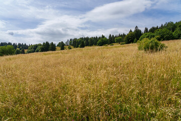 Obraz premium Landschaft der Schwarzenbergwiesen im NSG Schwarze Berge im Biosph√§renreservat Rh√∂n bei der Kissinger H√ºtte, Wildflecken, Unterfranken, Franken, Bayern, Deutschland