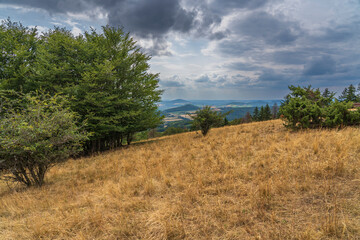 Fototapeta premium Die Platzer Kuppe im NSG Schwarze Berge, Biosphärenreservat Rhön, Unterfranken, Franken, Bayern, Deutschland
