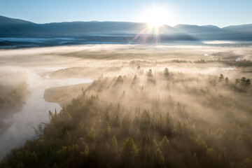 Early morning just after sunrise. Fog in the valley of the Chuya River. Coniferous forest in the fog. Kurai steppe. Summer landscape in Altai mountains, Siberia, Russia.