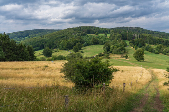 Die Platzer Kuppe im NSG Schwarze Berge, Biosph&auml;renreservat Rh&ouml;n, Unterfranken, Franken, Bayern, Deutschland