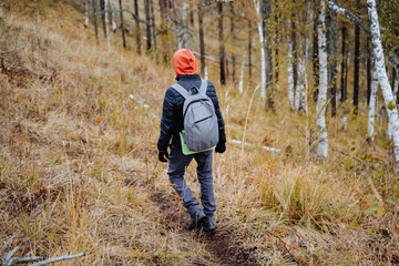 Naklejka na ściany i meble A man with a backpack on his back confidently walks along a mountain trail, a hiker on a hike moves along the azimuth, autumn hiking in a national park.