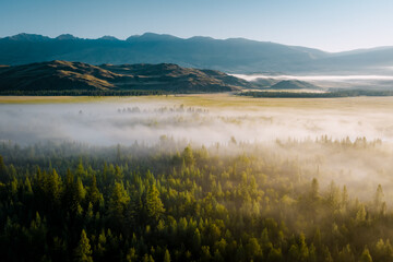 Early morning just after sunrise. Fog in the valley of the Chuya River. Coniferous forest in the fog. Kurai steppe. Summer landscape in Altai mountains, Siberia, Russia.