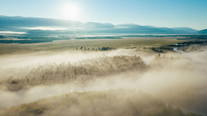 Early morning just after sunrise. Fog in the valley of the Chuya River. Coniferous forest in the fog. Kurai steppe. Summer landscape in Altai mountains, Siberia, Russia.