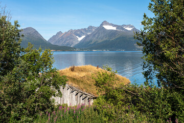 A turf roofed old wooden fishing barn by the sea on a beautiful and sunny summer day with...