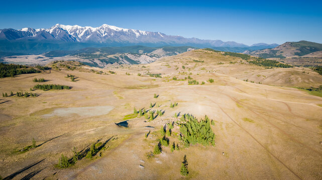 Summer landscape in the Altai mountains. Kurai steppe. Dirt road leading into the distance. Snow-capped mountain peaks. Kosh-Agachsky district of the Altai Republic, South of Western Siberia