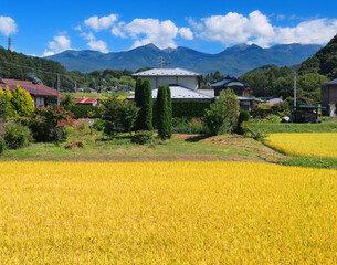八ヶ岳山麓の農村集落 © mahalopuka