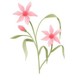 Flowers of love in valentine