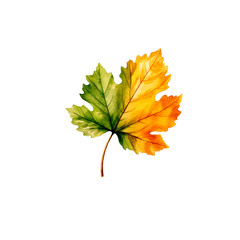 Isolated illustration of autumn leaf - 678642941