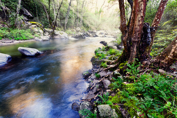 Rio Arenal