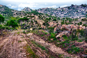 Camino del arroyo de la Moraleja