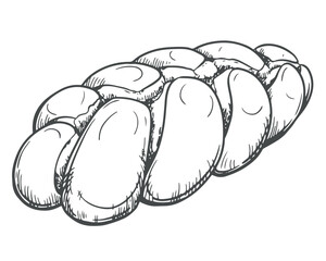 Challah bread vector. Element of the Shabbat Kiddush ceremony. Freshly baked homemade braided challah bread for Shabbat. Line sketch in engraving style.