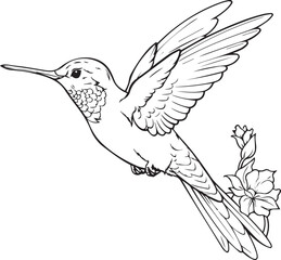 Flying Bird coloring page vector illustration