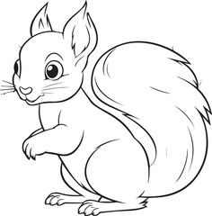Squirrel coloring book for kids, coloring page, vector
