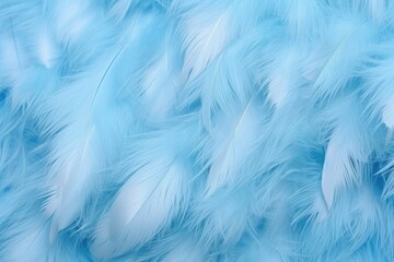 Beautiful Fluffy Sky Blue Color Feather Abstract Feather Background