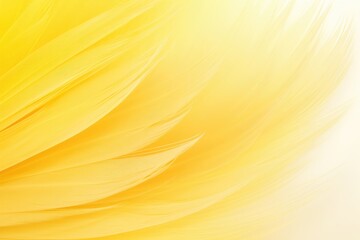 Beautiful Fluffy Yellow Feather Abstract Feather Background